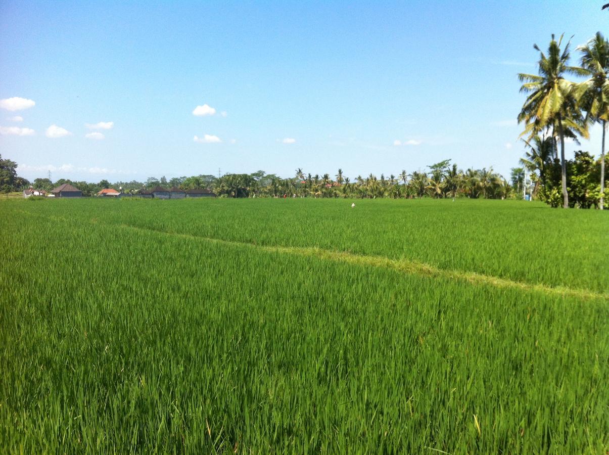 מלון Seminyak Hideaway מראה חיצוני תמונה
